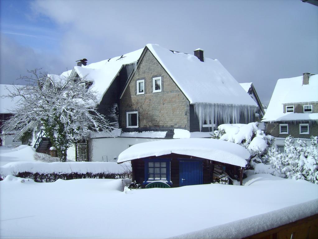 Ferienwohnung Boerner Winterberg Dış mekan fotoğraf